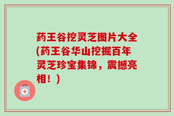 药王谷挖灵芝图片大全(药王谷华山挖掘百年灵芝珍宝集锦,震撼亮相!) 药王谷挖灵芝图片大全(药王谷华山挖掘百年灵芝珍宝集锦,震撼亮相!)