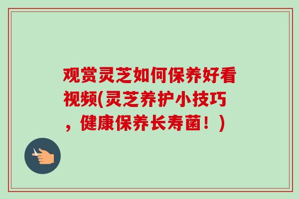 观赏灵芝如何保养好看视频(灵芝养护小技巧,健康保养长寿菌!) 观赏灵芝如何保养好看视频(灵芝养护小技巧,健康保养长寿菌!)