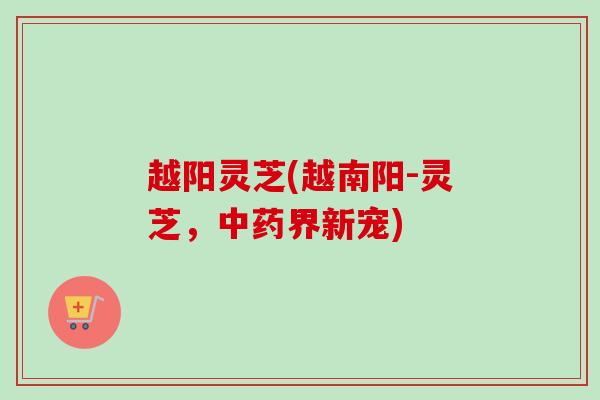 越阳灵芝(越南阳-灵芝,界新宠) 越阳灵芝(越南阳-灵芝,界新宠)