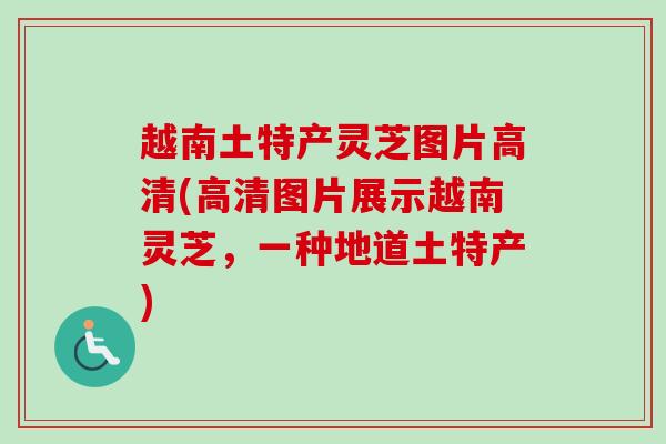 越南土特产灵芝图片高清(高清图片展示越南灵芝,一种地道土特产) 越南土特产灵芝图片高清(高清图片展示越南灵芝,一种地道土特产)