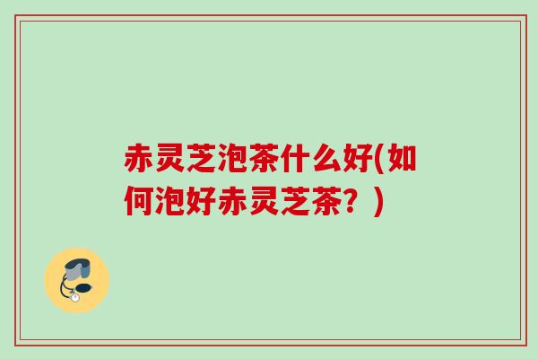 赤灵芝泡茶什么好(如何泡好赤灵芝茶?) 赤灵芝泡茶什么好(如何泡好赤灵芝茶?)