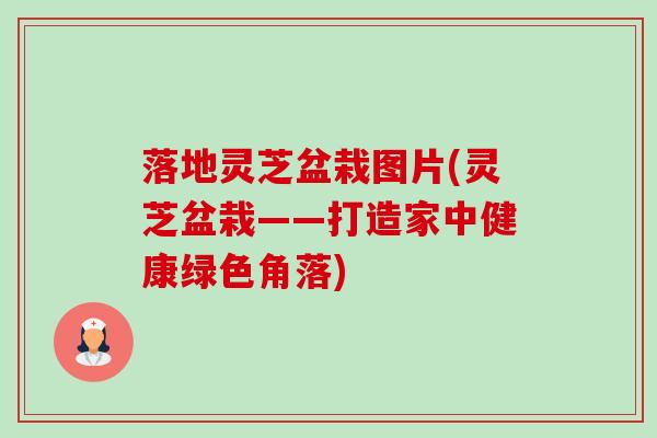 落地灵芝盆栽图片(灵芝盆栽——打造家中健康绿色角落) 落地灵芝盆栽图片(灵芝盆栽——打造家中健康绿色角落)