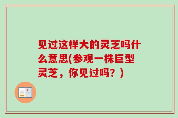 见过这样大的灵芝吗什么意思(参观一株巨型灵芝，你见过吗？)