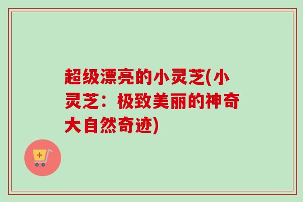 超级漂亮的小灵芝(小灵芝:极致美丽的神奇大自然奇迹) 超级漂亮的小灵芝(小灵芝:极致美丽的神奇大自然奇迹)