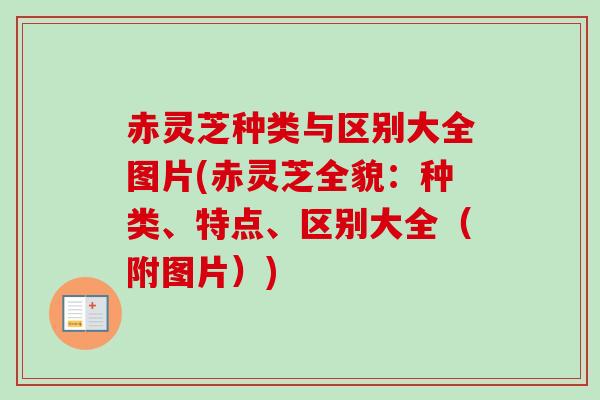 赤灵芝种类与区别大全图片(赤灵芝全貌:种类、特点、区别大全(附图片)) 赤灵芝种类与区别大全图片(赤灵芝全貌:种类、特点、区别大全(附图片))
