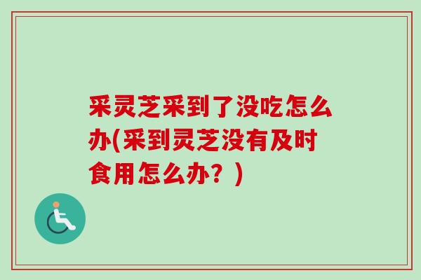 采灵芝采到了没吃怎么办(采到灵芝没有及时食用怎么办?) 采灵芝采到了没吃怎么办(采到灵芝没有及时食用怎么办?)