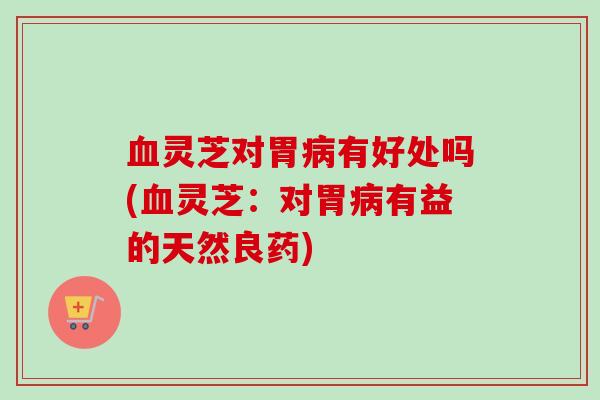 灵芝对胃有好处吗(灵芝:对胃有益的天然良药) 灵芝对胃有好处吗(灵芝:对胃有益的天然良药)