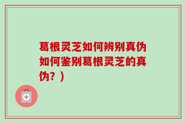 葛根灵芝如何辨别真伪如何鉴别葛根灵芝的真伪？)