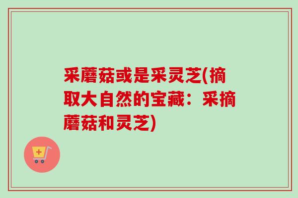 采蘑菇或是采灵芝(摘取大自然的宝藏：采摘蘑菇和灵芝)