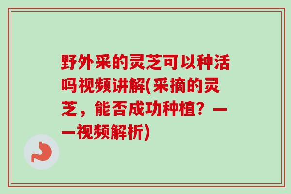 野外采的灵芝可以种活吗视频讲解(采摘的灵芝，能否成功种植？——视频解析)