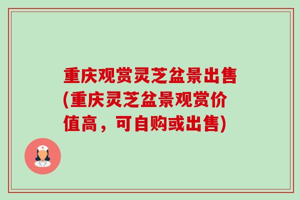 重庆观赏灵芝盆景出售(重庆灵芝盆景观赏价值高,可自购或出售) 重庆观赏灵芝盆景出售(重庆灵芝盆景观赏价值高,可自购或出售)