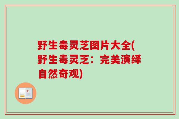 野生毒灵芝图片大全(野生毒灵芝:完美演绎自然奇观) 野生毒灵芝图片大全(野生毒灵芝:完美演绎自然奇观)