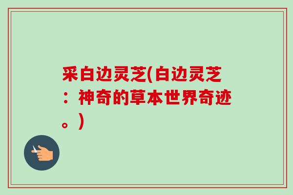 采白边灵芝(白边灵芝：神奇的草本世界奇迹。)
