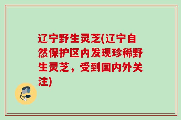 辽宁野生灵芝(辽宁自然保护区内发现珍稀野生灵芝,受到国内外关注) 辽宁野生灵芝(辽宁自然保护区内发现珍稀野生灵芝,受到国内外关注)