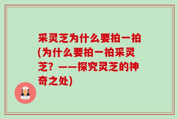 采灵芝为什么要拍一拍(为什么要拍一拍采灵芝?——探究灵芝的神奇之处) 采灵芝为什么要拍一拍(为什么要拍一拍采灵芝?——探究灵芝的神奇之处)