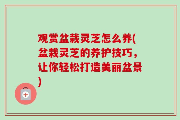 观赏盆栽灵芝怎么养(盆栽灵芝的养护技巧，让你轻松打造美丽盆景)