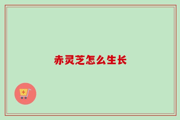 赤灵芝怎么生长 赤灵芝怎么生长