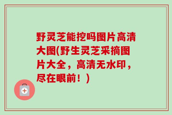 野灵芝能挖吗图片高清大图(野生灵芝采摘图片大全，高清无水印，尽在眼前！)