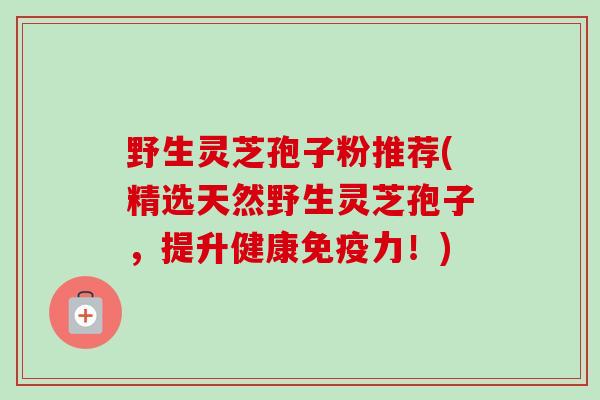 野生灵芝孢子粉推荐(精选天然野生灵芝孢子,提升健康免疫力!) 野生灵芝孢子粉推荐(精选天然野生灵芝孢子,提升健康免疫力!)