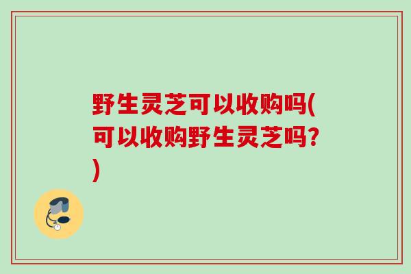 野生灵芝可以收购吗(可以收购野生灵芝吗?) 野生灵芝可以收购吗(可以收购野生灵芝吗?)