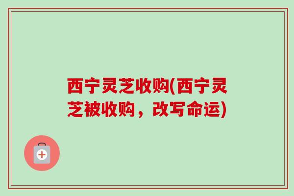 西宁灵芝收购(西宁灵芝被收购,改写命运) 西宁灵芝收购(西宁灵芝被收购,改写命运)
