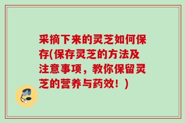 采摘下来的灵芝如何保存(保存灵芝的方法及注意事项，教你保留灵芝的营养与！)