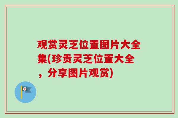 观赏灵芝位置图片大全集(珍贵灵芝位置大全,分享图片观赏) 观赏灵芝位置图片大全集(珍贵灵芝位置大全,分享图片观赏)