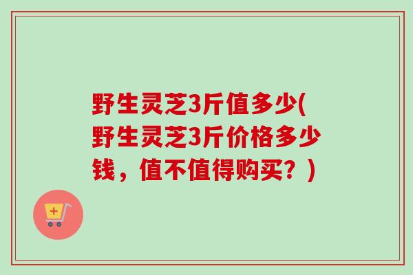 野生灵芝3斤值多少(野生灵芝3斤价格多少钱,值不值得购买?) 野生灵芝3斤值多少(野生灵芝3斤价格多少钱,值不值得购买?)