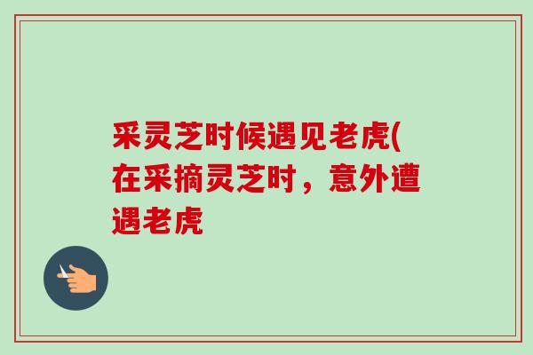 采灵芝时候遇见老虎(在采摘灵芝时,意外遭遇老虎 采灵芝时候遇见老虎(在采摘灵芝时,意外遭遇老虎