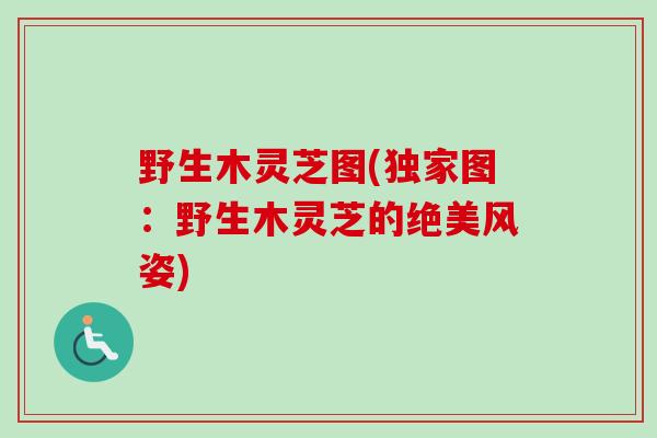 野生木灵芝图(独家图:野生木灵芝的绝美风姿) 野生木灵芝图(独家图:野生木灵芝的绝美风姿)
