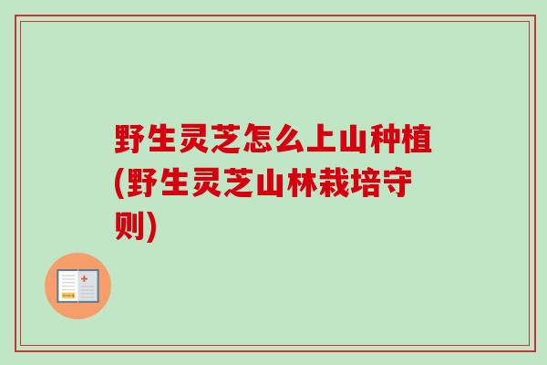 野生灵芝怎么上山种植(野生灵芝山林栽培守则)