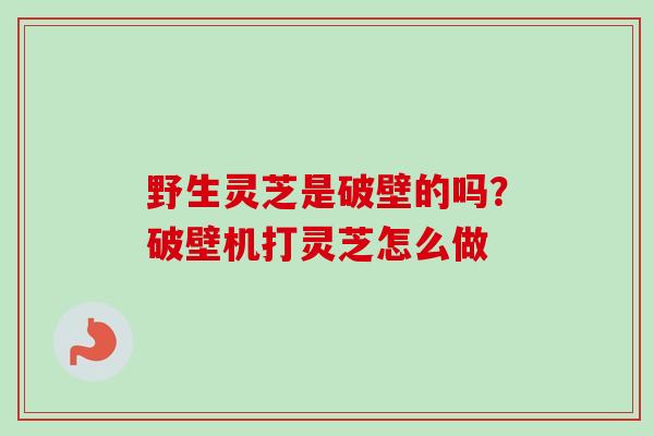 野生灵芝是破壁的吗？破壁机打灵芝怎么做