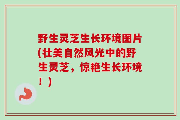 野生灵芝生长环境图片(壮美自然风光中的野生灵芝，惊艳生长环境！)
