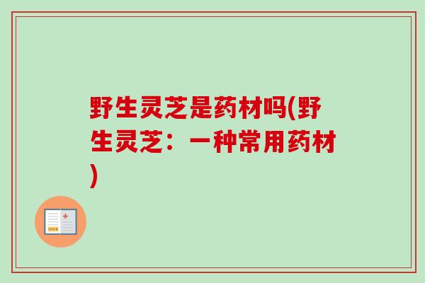 野生灵芝是药材吗(野生灵芝：一种常用药材)