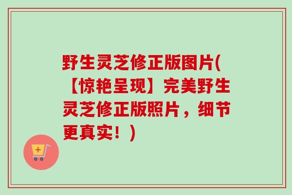 野生灵芝修正版图片(【惊艳呈现】完美野生灵芝修正版照片,细节更真实!) 野生灵芝修正版图片(【惊艳呈现】完美野生灵芝修正版照片,细节更真实!)