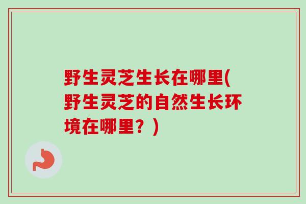 野生灵芝生长在哪里(野生灵芝的自然生长环境在哪里？)