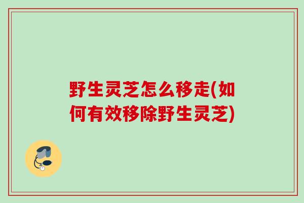 野生灵芝怎么移走(如何有效移除野生灵芝) 野生灵芝怎么移走(如何有效移除野生灵芝)