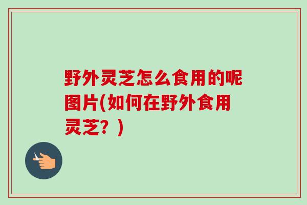 野外灵芝怎么食用的呢图片(如何在野外食用灵芝？)