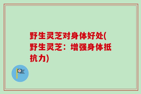 野生灵芝对身体好处(野生灵芝:增强身体抵抗力) 野生灵芝对身体好处(野生灵芝:增强身体抵抗力)