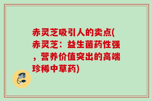 赤灵芝吸引人的卖点(赤灵芝:益生菌强,营养价值突出的高端珍稀中草药) 赤灵芝吸引人的卖点(赤灵芝:益生菌强,营养价值突出的高端珍稀中草药)
