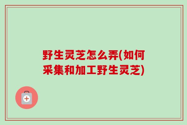 野生灵芝怎么弄(如何采集和加工野生灵芝) 野生灵芝怎么弄(如何采集和加工野生灵芝)