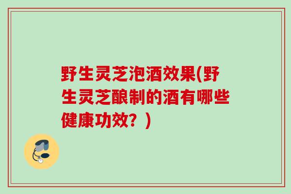 野生灵芝泡酒效果(野生灵芝酿制的酒有哪些健康功效?) 野生灵芝泡酒效果(野生灵芝酿制的酒有哪些健康功效?)
