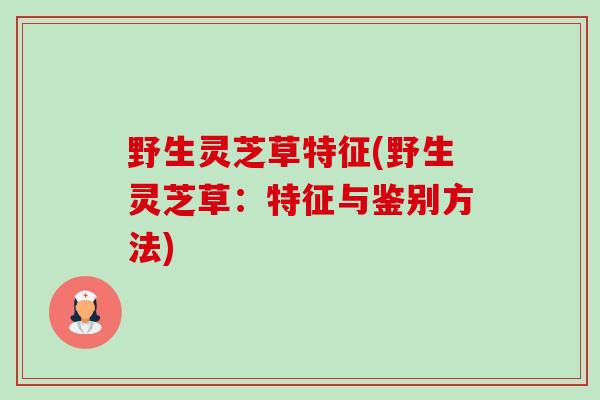 野生灵芝草特征(野生灵芝草:特征与鉴别方法) 野生灵芝草特征(野生灵芝草:特征与鉴别方法)
