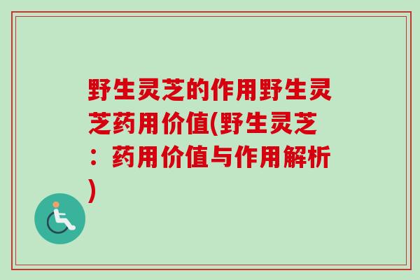野生灵芝的作用野生灵芝药用价值(野生灵芝:药用价值与作用解析) 野生灵芝的作用野生灵芝药用价值(野生灵芝:药用价值与作用解析)