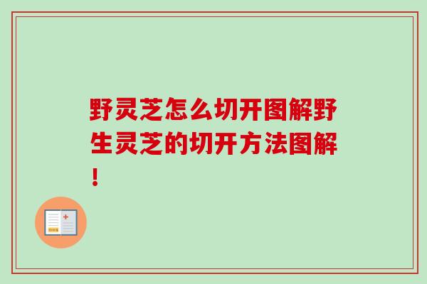 野灵芝怎么切开图解野生灵芝的切开方法图解！