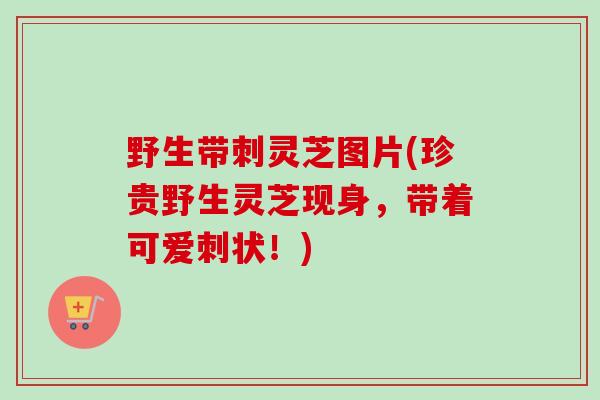 野生带刺灵芝图片(珍贵野生灵芝现身，带着可爱刺状！)