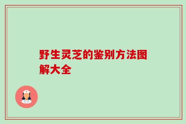 野生灵芝的鉴别方法图解大全