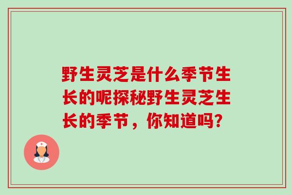 野生灵芝是什么季节生长的呢探秘野生灵芝生长的季节,你知道吗? 野生灵芝是什么季节生长的呢探秘野生灵芝生长的季节,你知道吗?