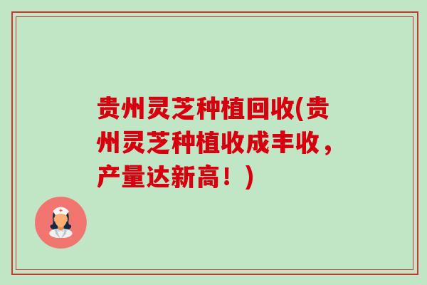 贵州灵芝种植回收(贵州灵芝种植收成丰收,产量达新高!) 贵州灵芝种植回收(贵州灵芝种植收成丰收,产量达新高!)