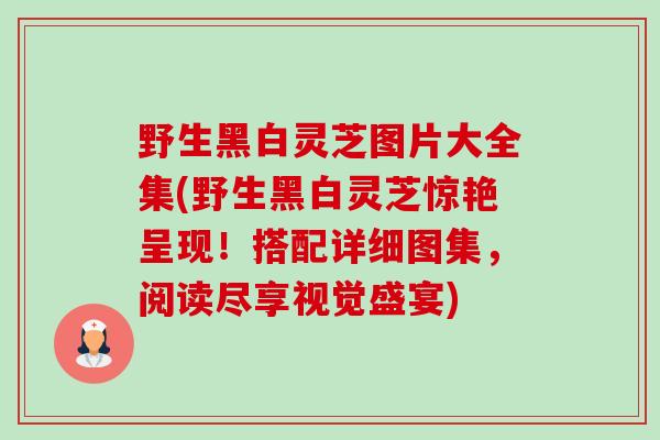 野生黑白灵芝图片大全集(野生黑白灵芝惊艳呈现！搭配详细图集，阅读尽享视觉盛宴)
